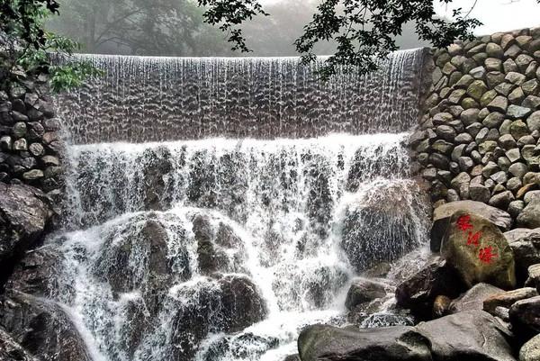 春雨直播app